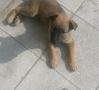 【快手转来的。】视频直播-YY