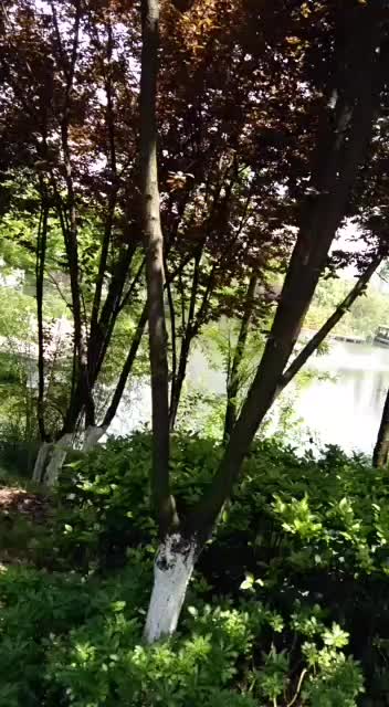 .QQ飞车直播间_.QQ飞车视频直播 -上YY