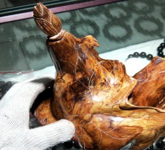 Alexandra丨凉城分享的小视频