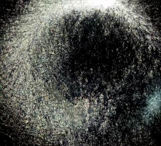 看看谁跑得快能分清楚蛋黄和优莉吗金毛蛋黄.