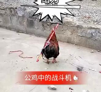 【 #美女##搞笑男神李明霖# #搞笑男神李明霖