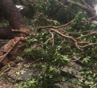 教大家赚钱方法:下载个 借贷宝软件 输入邀请码