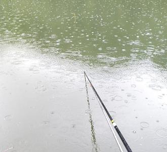 最小宝贝手势舞简单易学