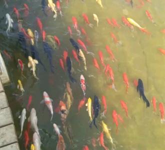 #折纸#驶向银河的太空船~