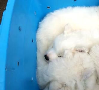 #AA舞##偶像练习生##节奏大师# 新.