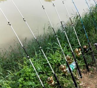 【农村野外钓鱼】视频直播-YY