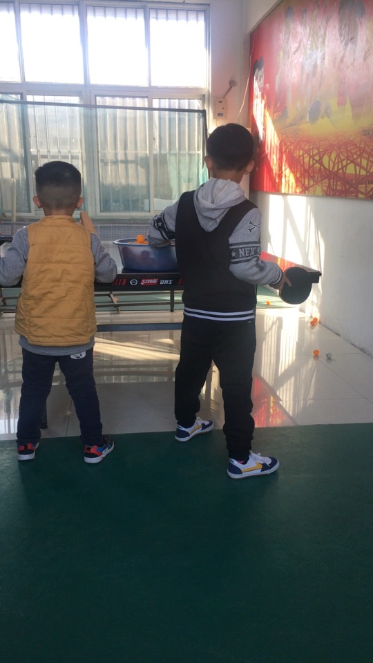 乒乓球 在线视频现场直播 | yy 乒乓球视频直播