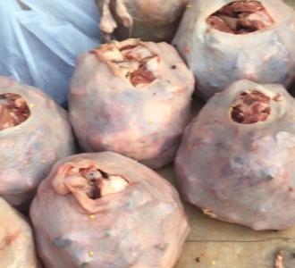 【你是我的情人】视频直播-YY