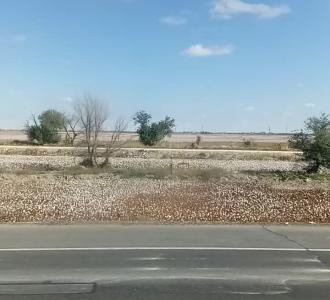 【致吴迪团队拜来拜来】视频直播-YY