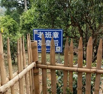 口技埙独奏西游记片头曲