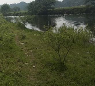 学了好久发到抖音里没人点赞。