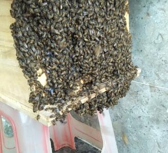 酷酷的杨丹组合跳的棒极了66