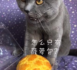 【玩快手不?加个关注呗10016464 #杰哥的魔术