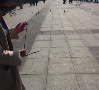 【#萌宠日常#盖住我的小被子 累的像只狗啊】