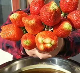 【多少时间一年的老蜂巢蜜,专治鼻咽炎、咳嗽