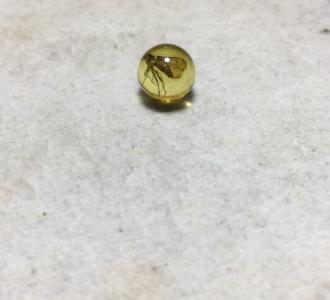 【流浪歌手阿毛一家三口】视频直播-YY