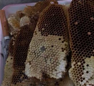 【逆流而上,节节高升】视频直播-YY