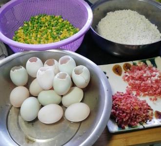 【不要 不要 舞蹈不要停】视频直播-YY