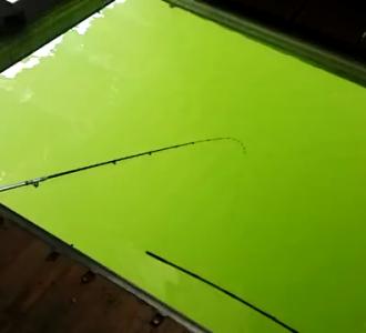 【筏钓太平湖】视频直播-YY