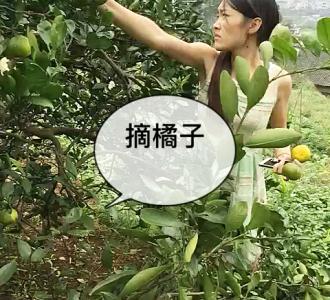 【手机百度搜索或者手机软件app搜索:借贷宝。