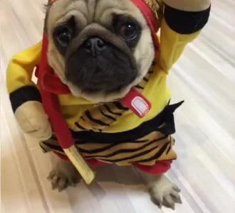 【专治 阳痿 早泄 不举分享的小视频】视频直播