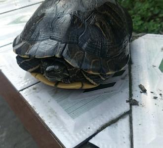 【第一次玩,喜欢的双击关注一下】视频直播-Y