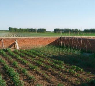 【励志分享的小视频】视频直播-YY