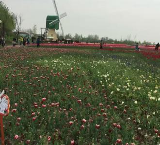 老公今生有你真好mv_老公今生有你真好mp3_