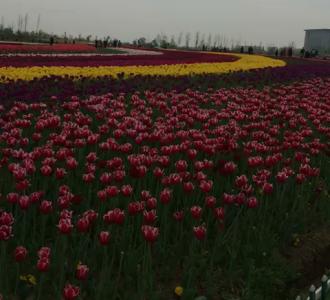 老公今生有你真好mv_老公今生有你真好mp3_