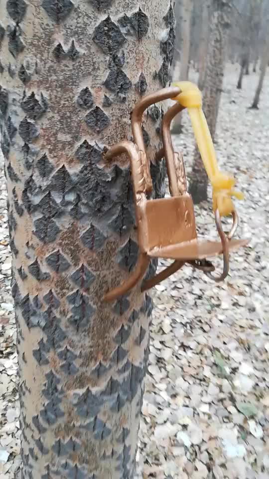 爬树神器脚扎子猫爪子