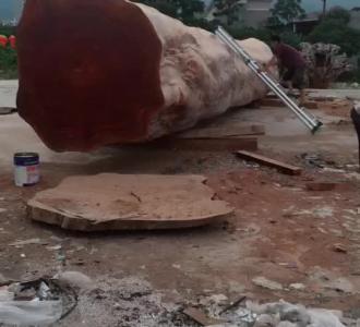 【贱我一脸红】视频直播-YY